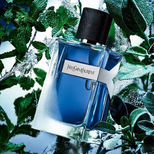 YSL ICED COLOGE