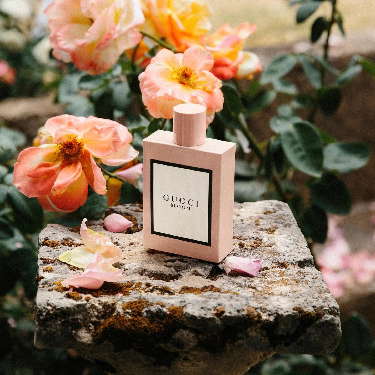 GUCCI BLOOM